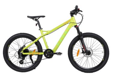 Pedal Warrior 24" Electric Mountain Bike Green